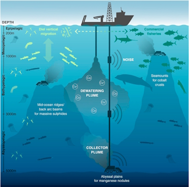 Seabed mining effects - University of Hawaii via PNAS journal